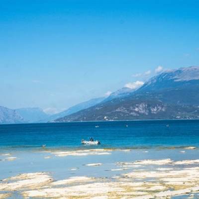 365平台手机app下载