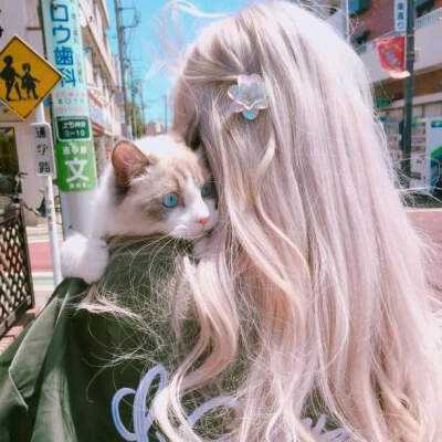 ag真人平台官方手机app下载